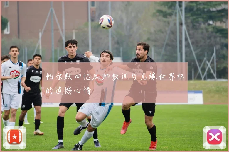 帕尔默回忆瓜帅教训与无缘世界杯的遗憾心情
