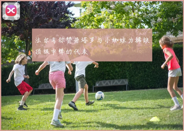法尔考称赞劳塔罗与小蜘蛛为稀缺顶级中锋的代表
