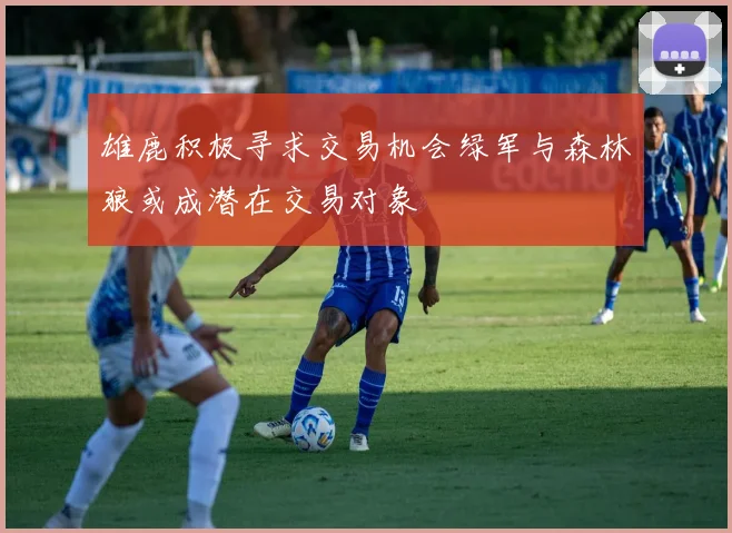 雄鹿积极寻求交易机会绿军与森林狼或成潜在交易对象